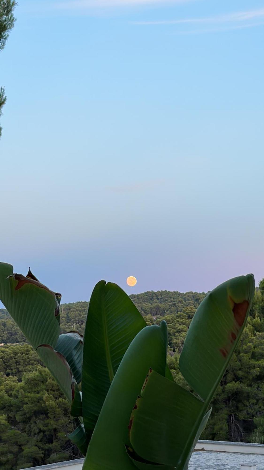 Petra Maris B&B Peschici Dış mekan fotoğraf