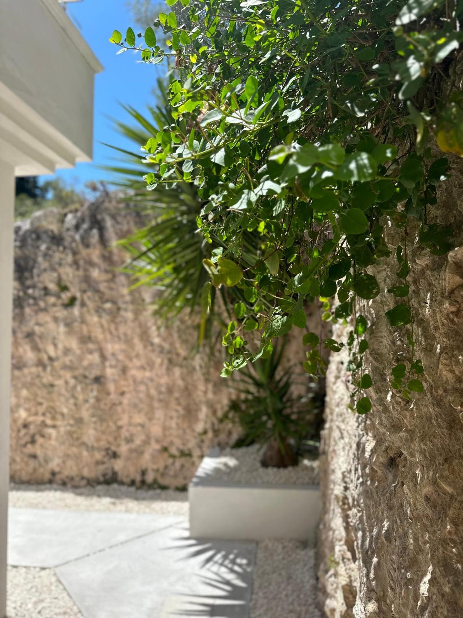 Petra Maris B&B Peschici Dış mekan fotoğraf